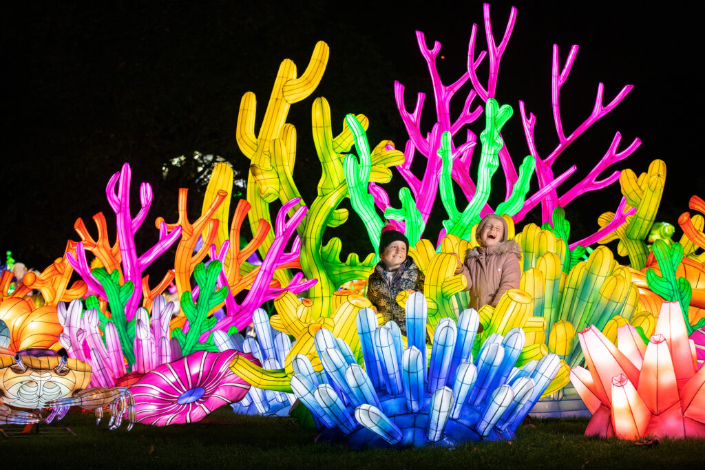 Wild Lights to showcase ‘The Magic of Life’ at Dublin Zoo this winter